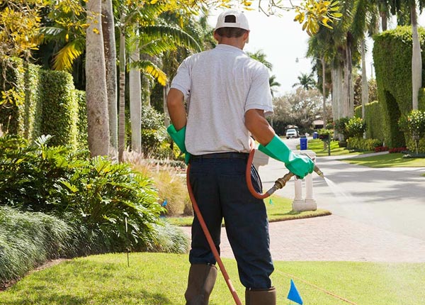 About Graysville OH Pest Control Pros
